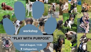 Workshop "Play with purpose" @ Valbyparken | Valby | Denmark